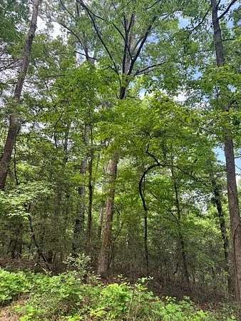 4.12 Acres of Residential Land for Sale in Etoile, Texas