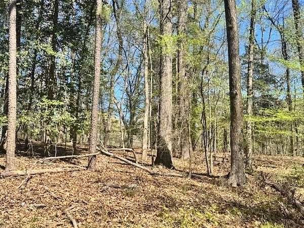 1.22 Acres of Residential Land for Sale in Etoile, Texas