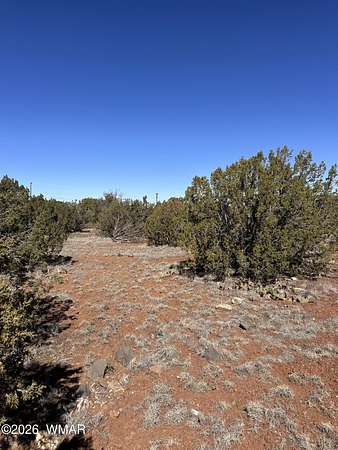 0.23 Acres of Residential Land for Sale in Show Low, Arizona