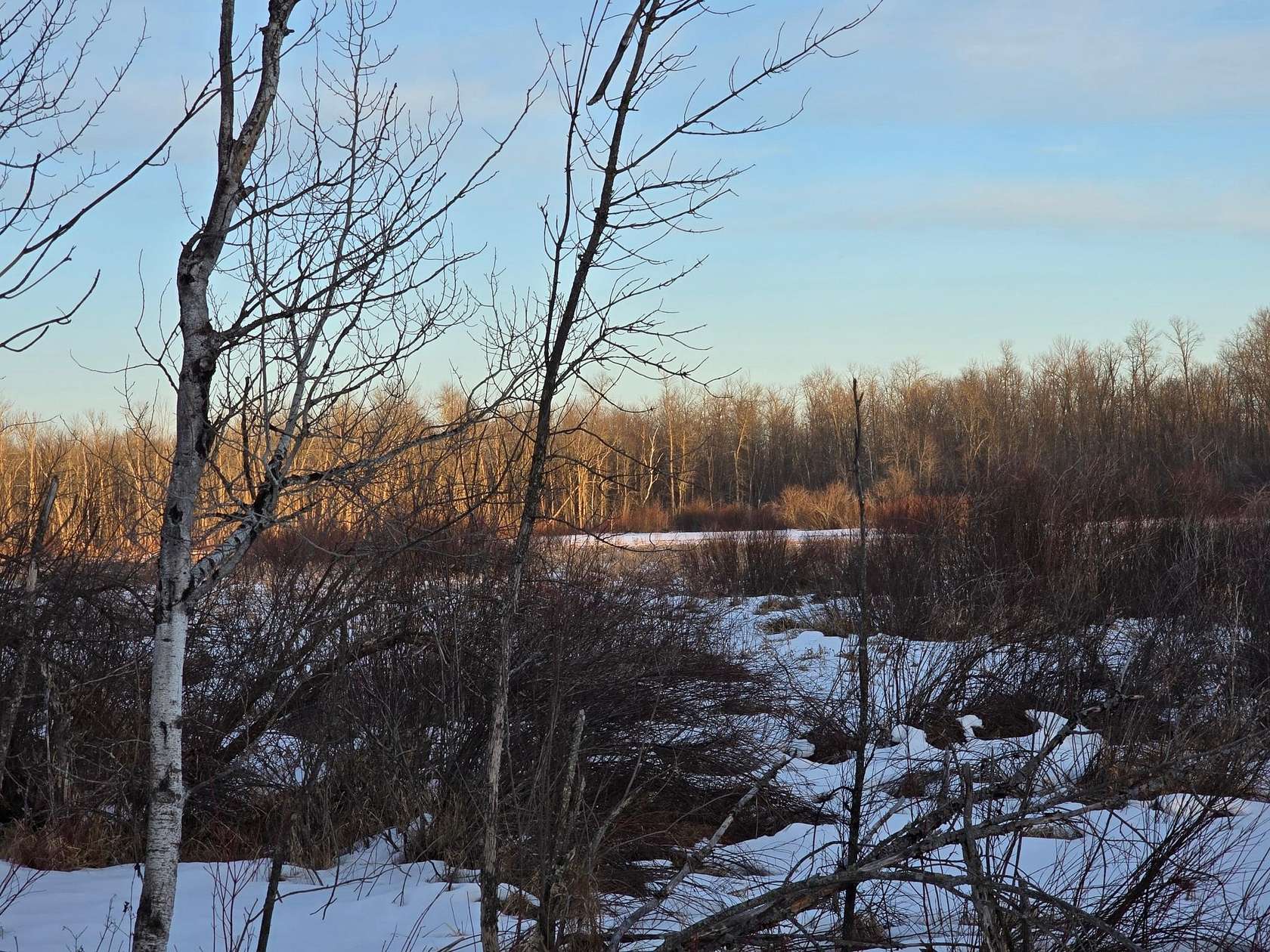 1.86 Acres of Land for Sale in Isle, Minnesota