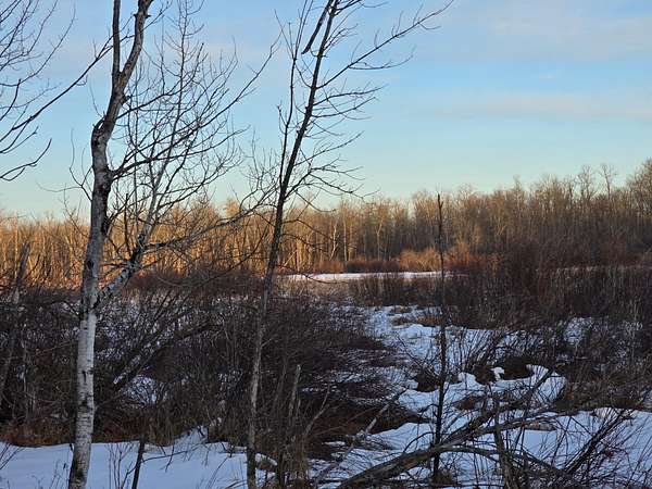 1.86 Acres of Land for Sale in Isle, Minnesota