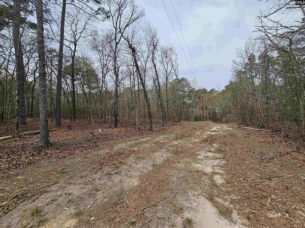 18.1 Acres of Mixed-Use Land for Sale in Hopkins, South Carolina