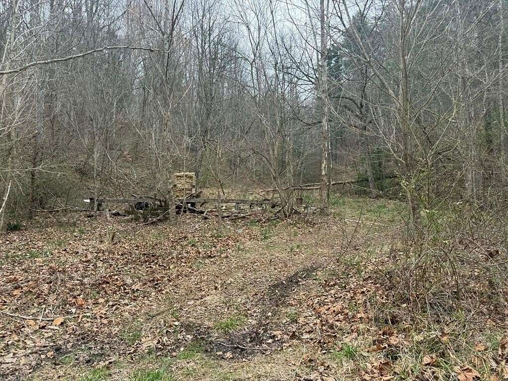 42 Acres of Land for Sale in Flatgap, Kentucky