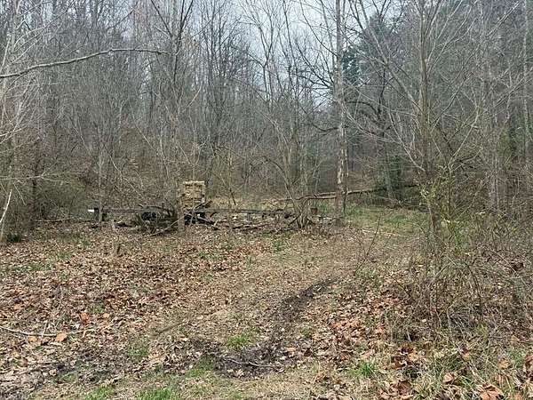 42 Acres of Land for Sale in Flatgap, Kentucky