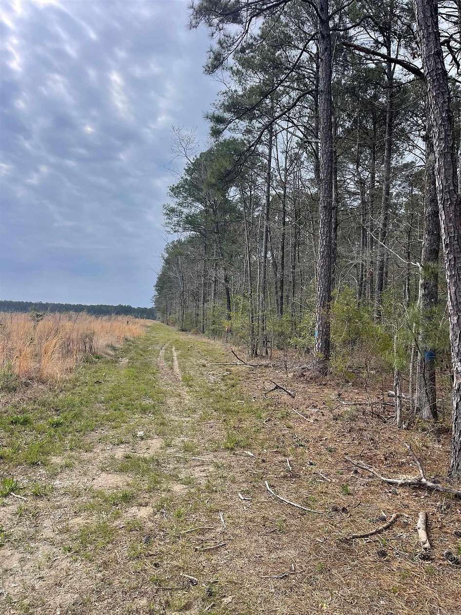 40 Acres of Recreational Land for Sale in Hampton, Arkansas