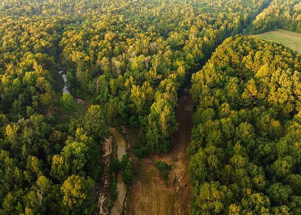 125 Acres of Recreational Land for Sale in Carthage, Mississippi