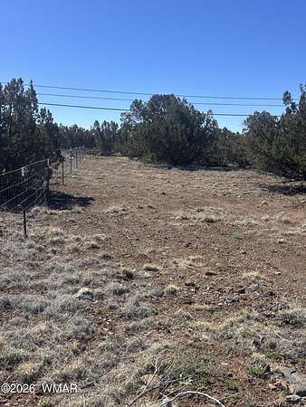 0.24 Acres of Residential Land for Sale in Show Low, Arizona