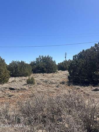 0.13 Acres of Residential Land for Sale in Show Low, Arizona