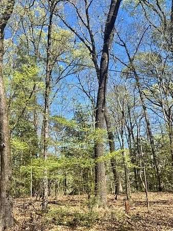 0.95 Acres of Residential Land for Sale in Etoile, Texas