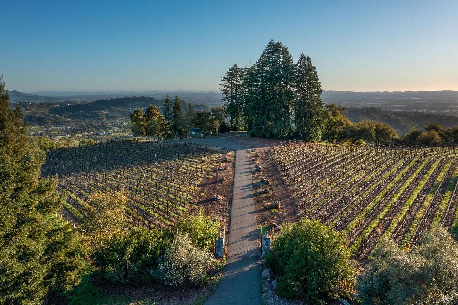 15.5 Acres of Land for Sale in Santa Rosa, California