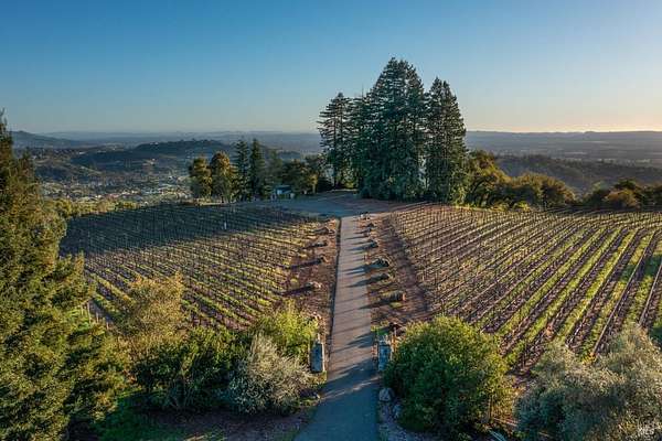 15.5 Acres of Land for Sale in Santa Rosa, California