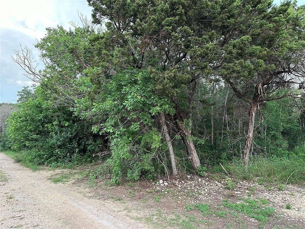 0.4 Acres of Residential Land for Sale in Whitney, Texas