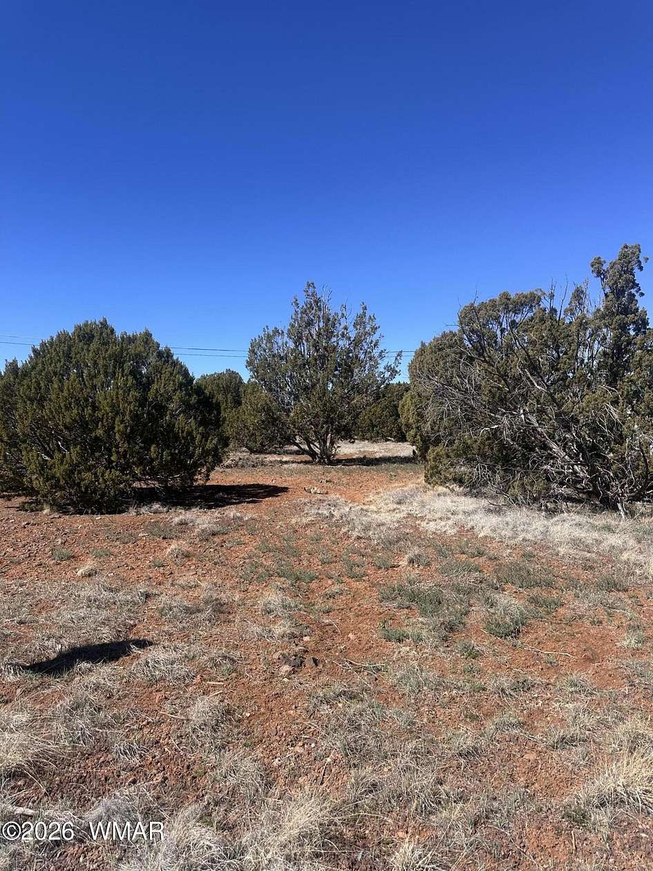 0.05 Acres of Residential Land for Sale in Show Low, Arizona