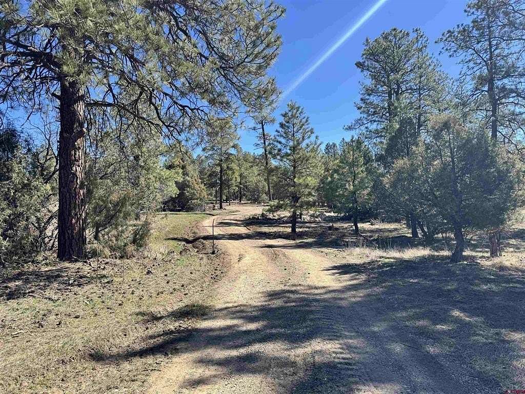 5 Acres of Residential Land for Sale in Pagosa Springs, Colorado