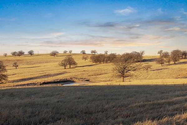 196 Acres of Agricultural Land for Sale in Nocona, Texas