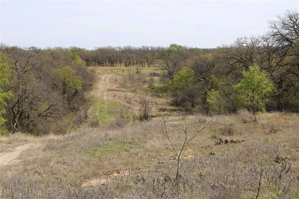 21 Acres of Land for Sale in Perrin, Texas