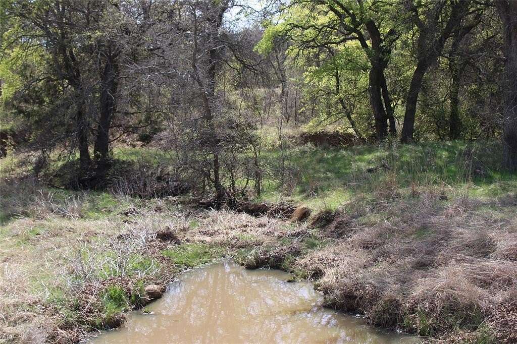 21 Acres of Land for Sale in Perrin, Texas