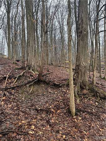 0.6 Acres of Residential Land for Sale in Utica, New York