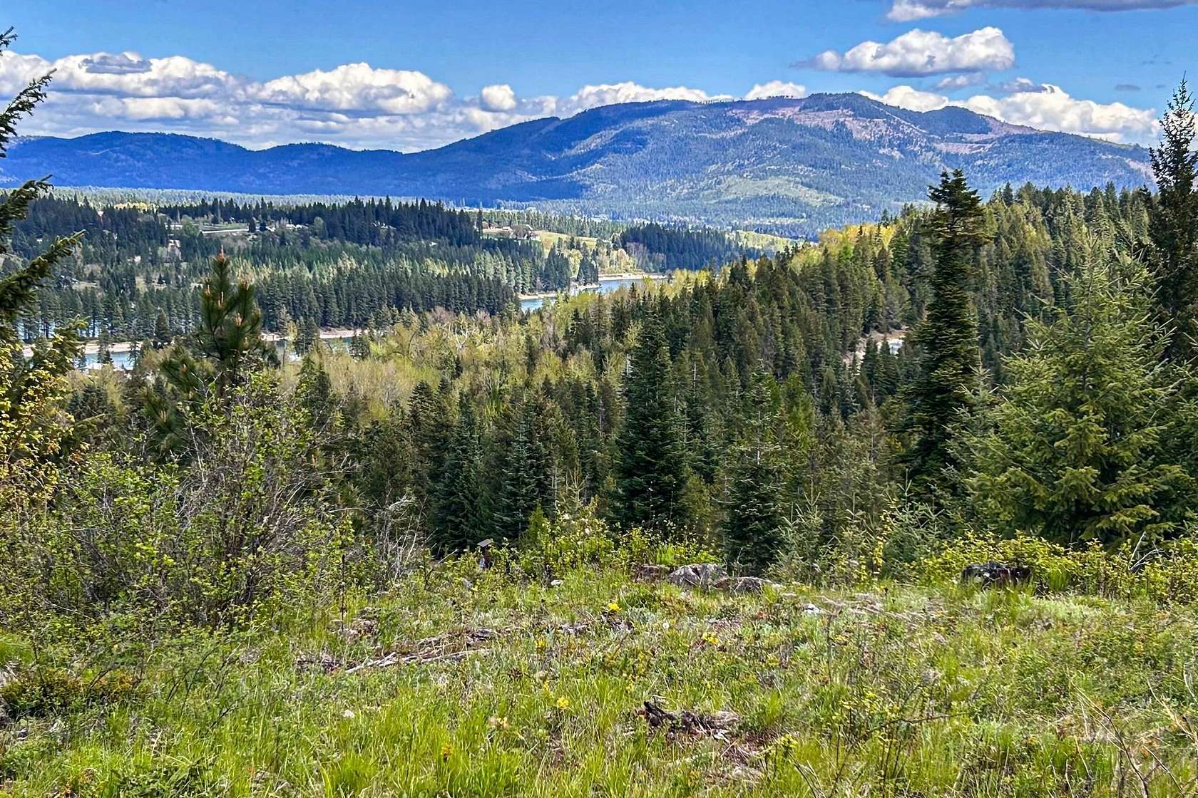 5 Acres of Residential Land for Sale in Priest River, Idaho