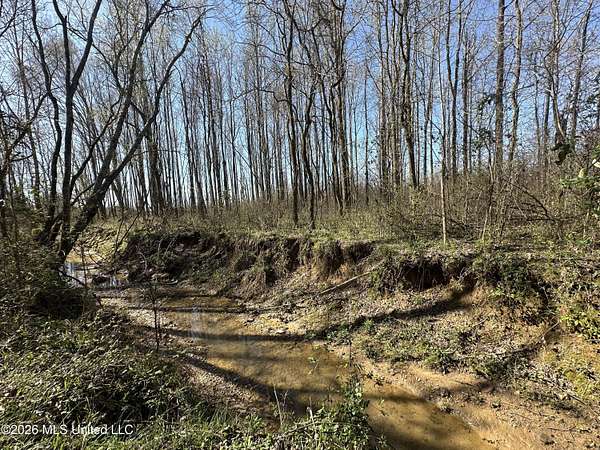 15 Acres of Recreational & Residential Land for Sale in Vaughan, Mississippi