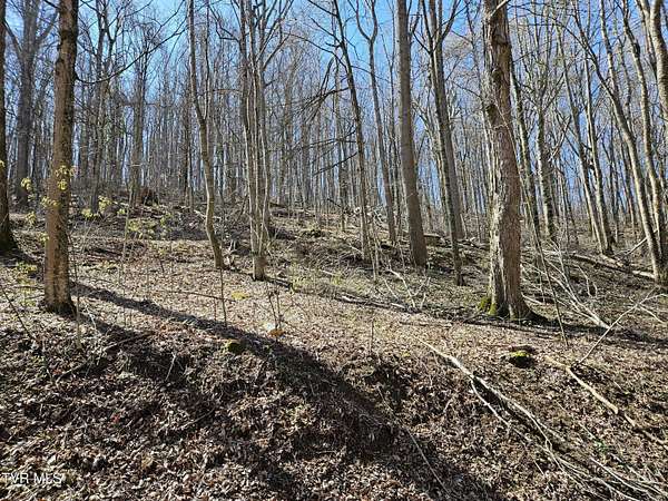 10.4 Acres of Land for Sale in Chilhowie, Virginia