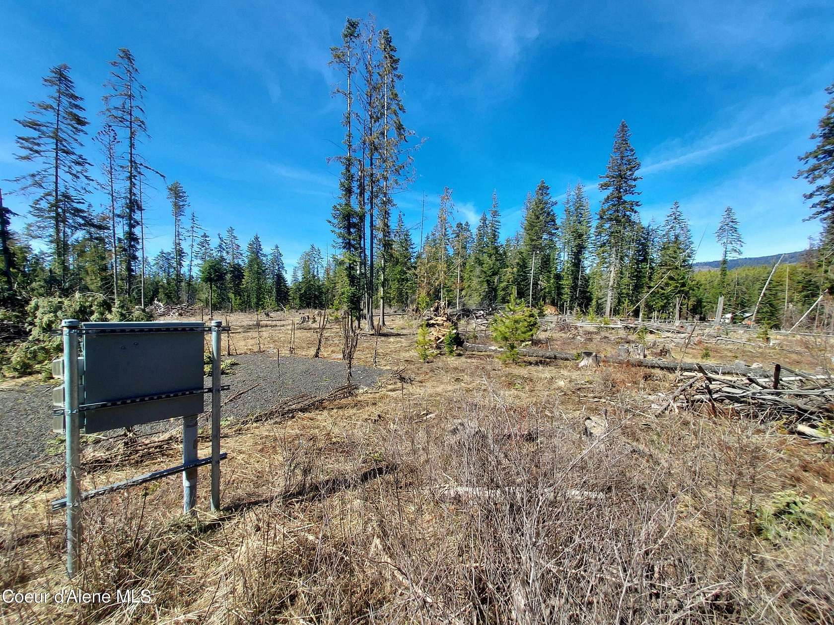 9.86 Acres of Land for Sale in St. Maries, Idaho