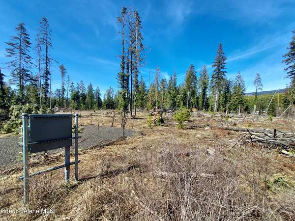 9.86 Acres of Land for Sale in St. Maries, Idaho