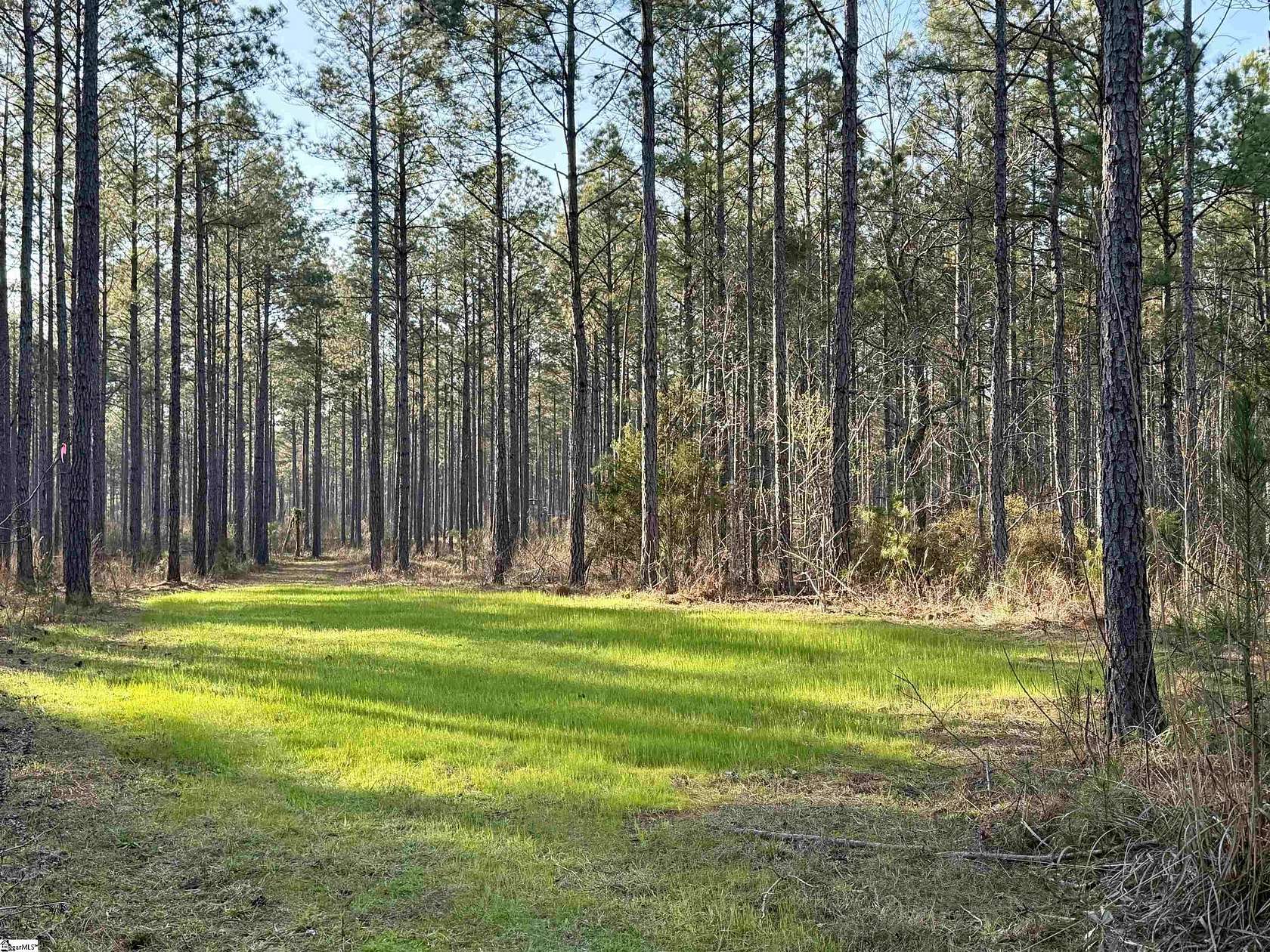 376 Acres of Recreational Land for Sale in Abbeville, South Carolina