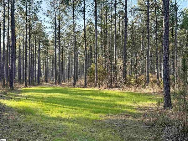 376 Acres of Recreational Land for Sale in Abbeville, South Carolina