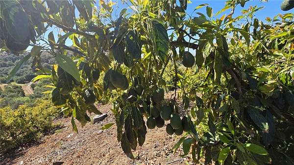 21.9 Acres of Land for Sale in Temecula, California