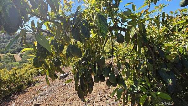 21.9 Acres of Land for Sale in Temecula, California