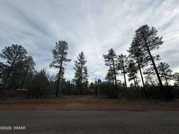 0.52 Acres of Residential Land for Sale in Lakeside, Arizona