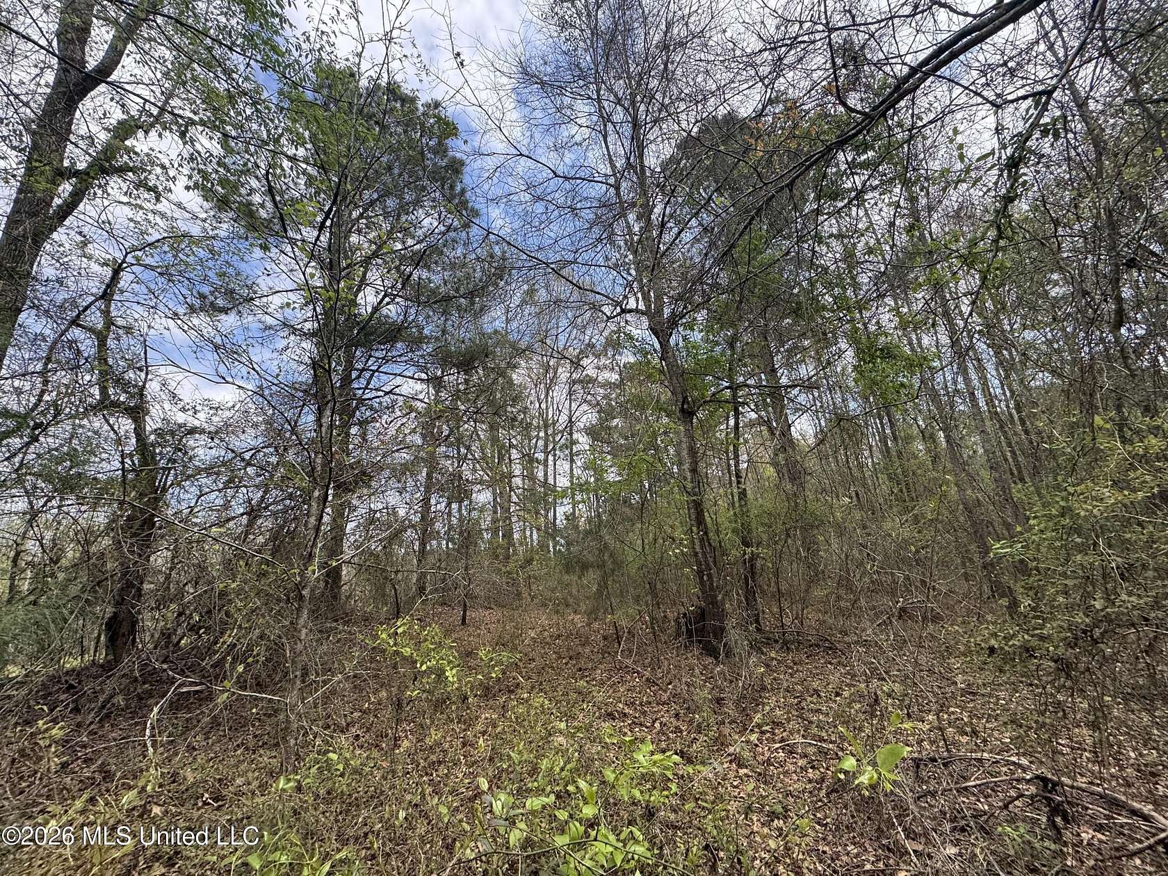 35.5 Acres of Recreational & Residential Land for Sale in Newton, Mississippi