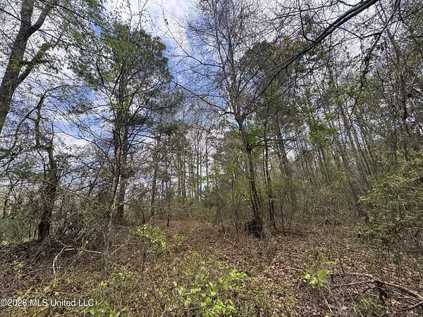 35.5 Acres of Recreational & Residential Land for Sale in Newton, Mississippi