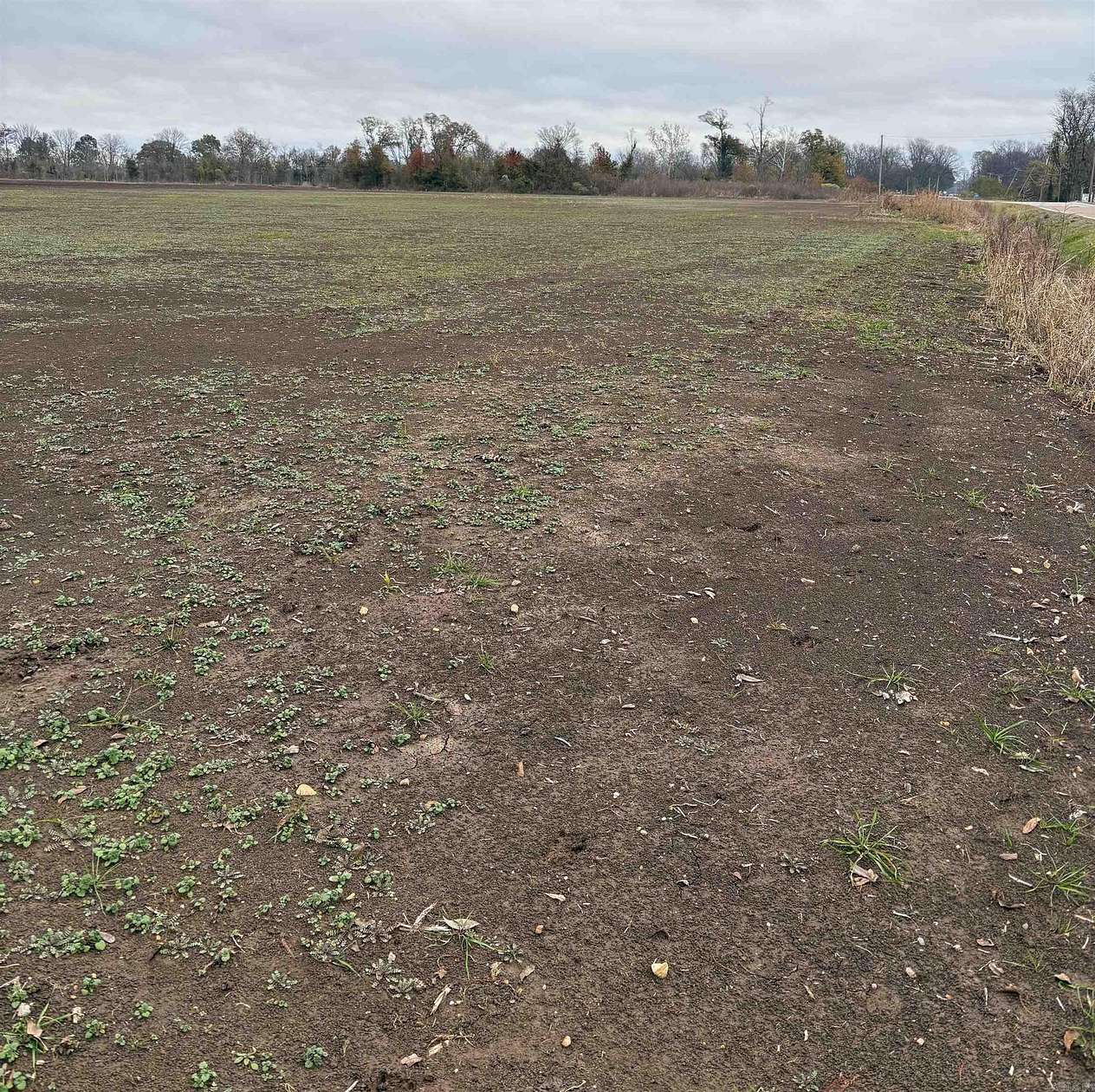 1.54 Acres of Residential Land for Sale in Lake Village, Arkansas