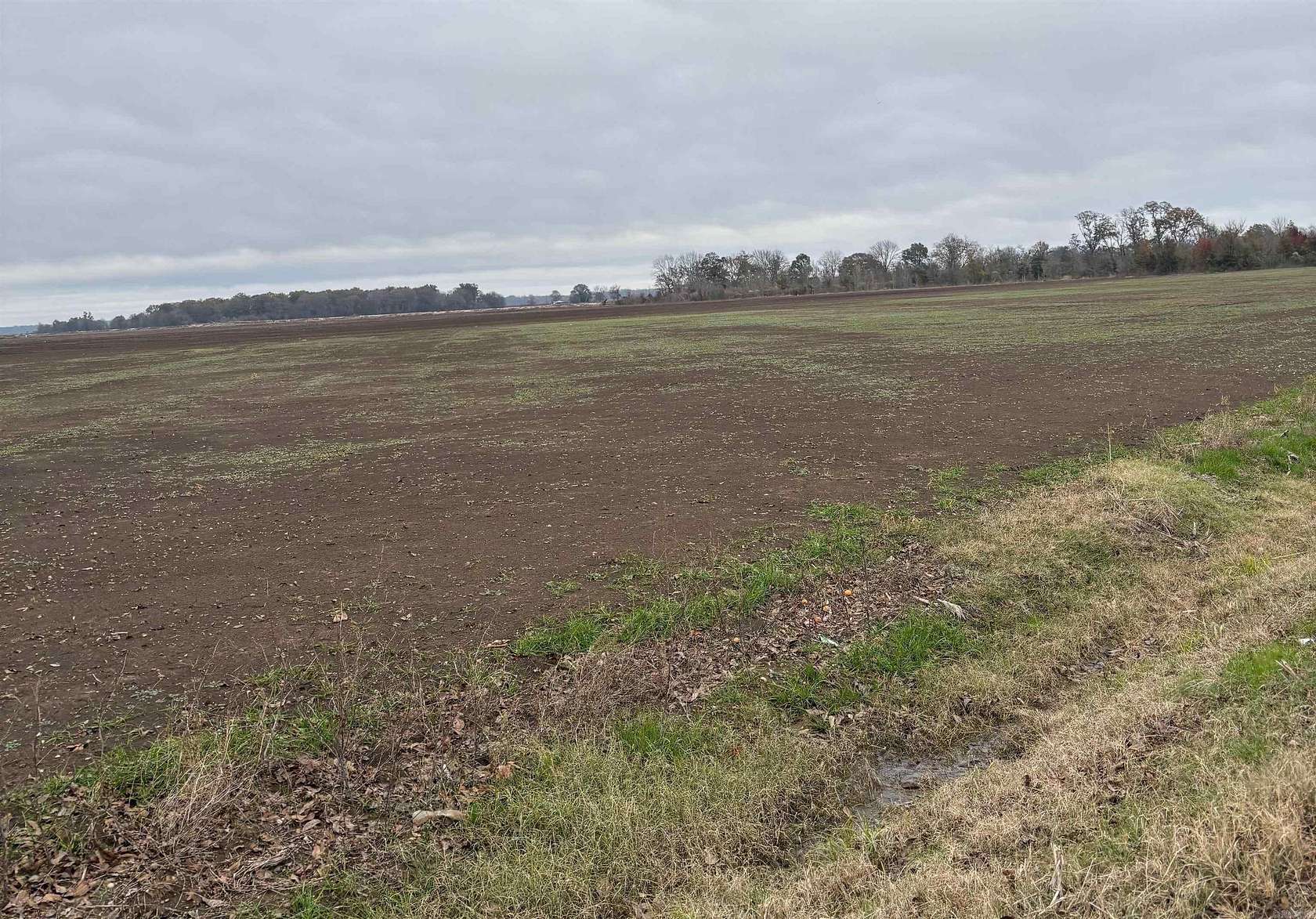 1.54 Acres of Residential Land for Sale in Lake Village, Arkansas