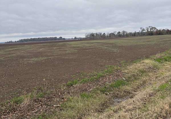 1.54 Acres of Residential Land for Sale in Lake Village, Arkansas