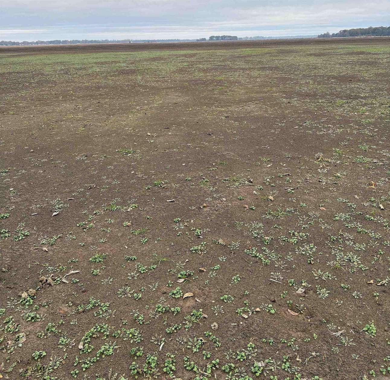 1.54 Acres of Residential Land for Sale in Lake Village, Arkansas