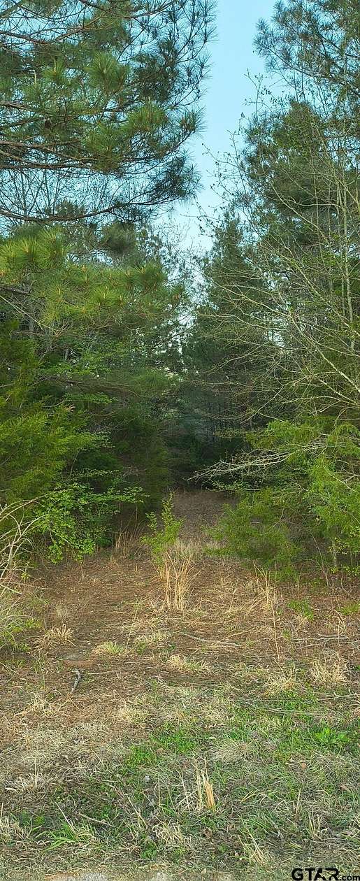 12 Acres of Land for Sale in Tyler, Texas