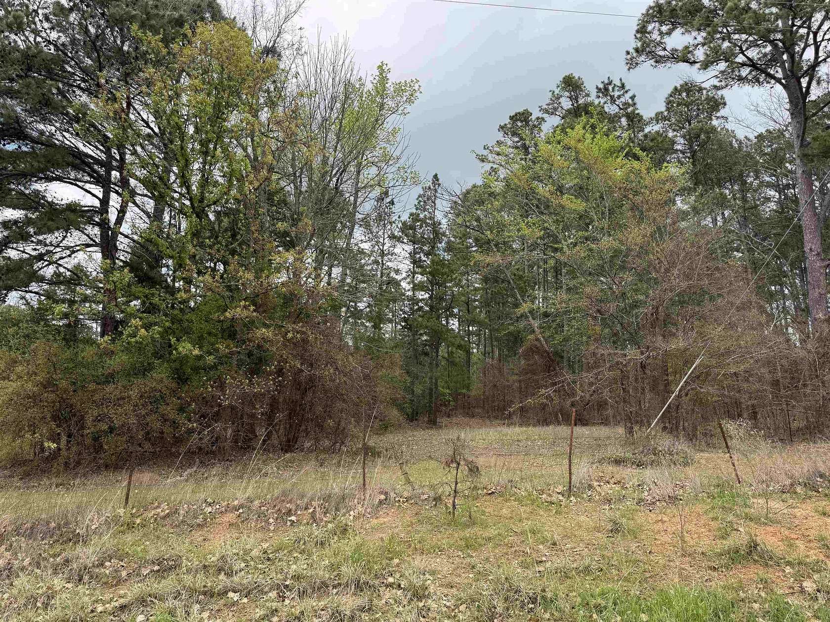 6 Acres of Residential Land for Sale in Hallsville, Texas