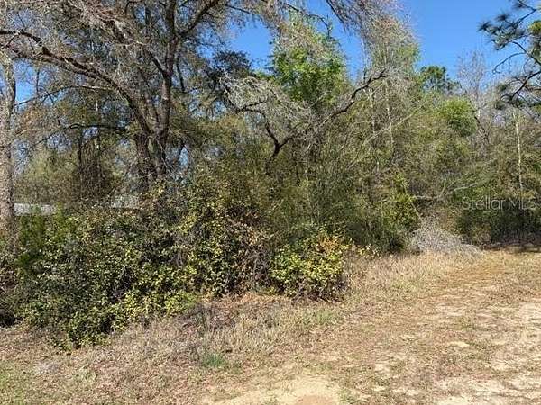 0.23 Acres of Residential Land for Sale in Citrus Springs, Florida