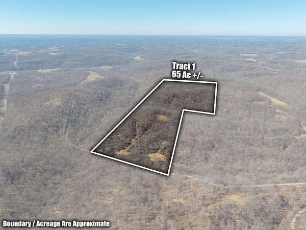 131 Acres of Recreational Land for Auction in Caldwell, Ohio