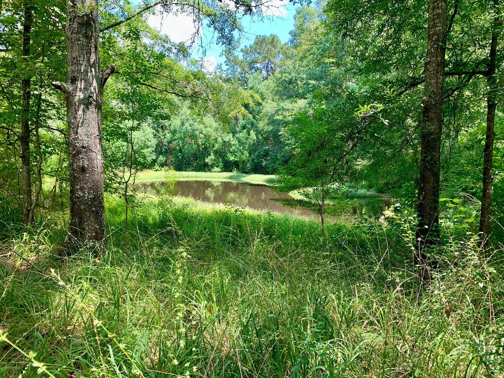 32 Acres of Recreational Land for Sale in Byram, Mississippi
