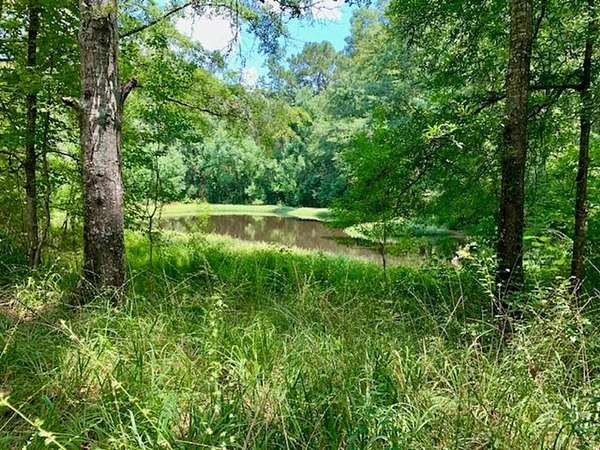 32 Acres of Recreational Land for Sale in Byram, Mississippi