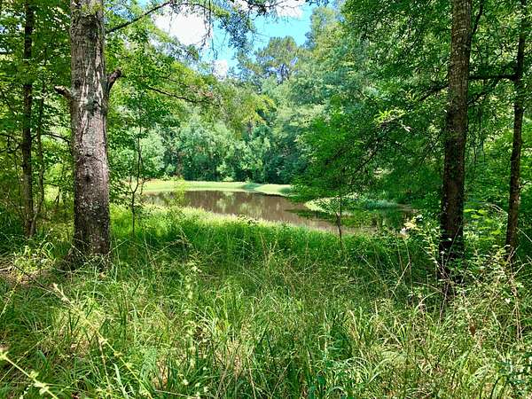 32 Acres of Recreational Land for Sale in Byram, Mississippi