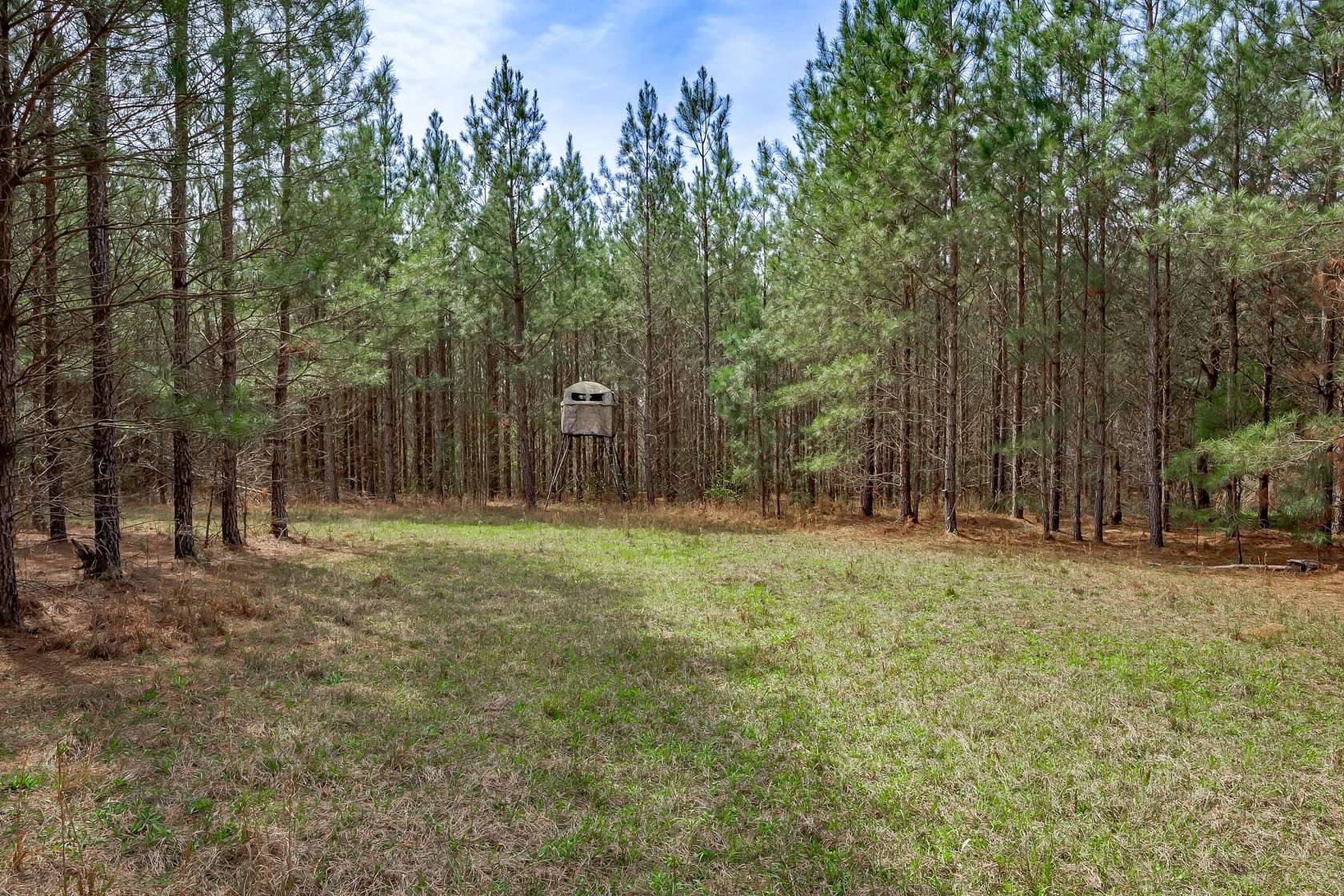203 Acres of Recreational Land for Sale in Waynesboro, Georgia