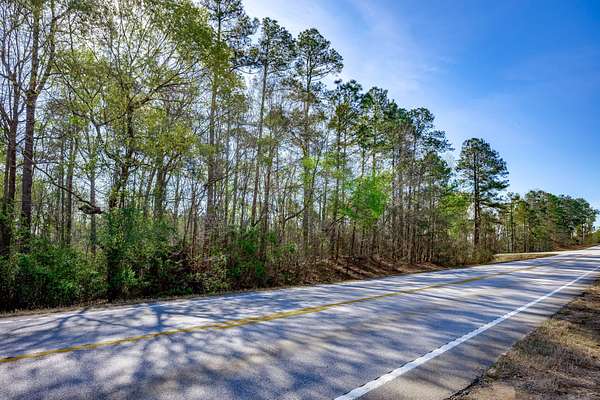 159 Acres of Recreational Land for Sale in Waynesboro, Georgia