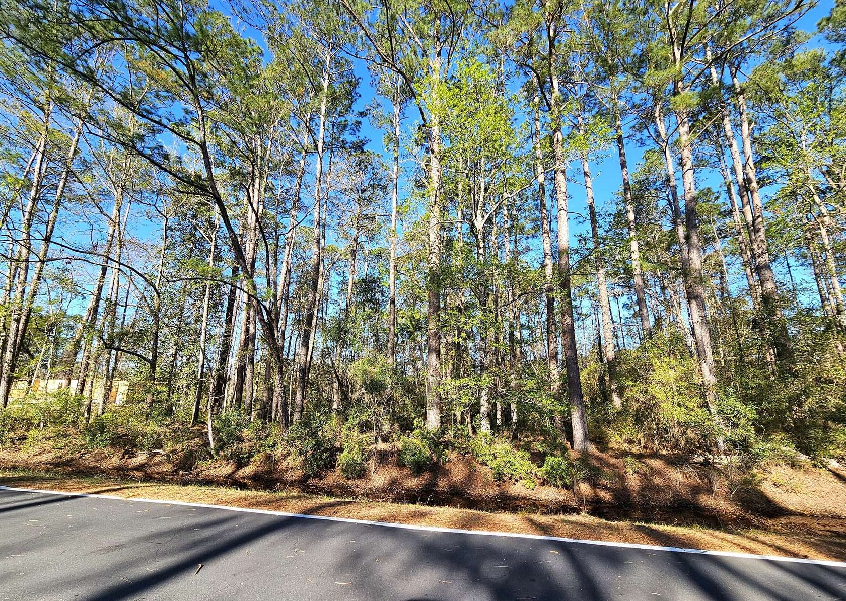 1.1 Acres of Residential Land for Sale in Waverly, Georgia