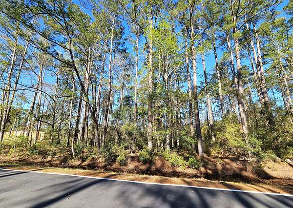 1.1 Acres of Residential Land for Sale in Waverly, Georgia