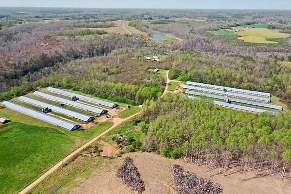 34 Acres of Agricultural & Residential Land for Sale in Bear Creek, Alabama